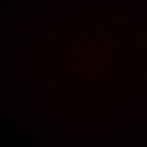 Meet your Posher, Sean